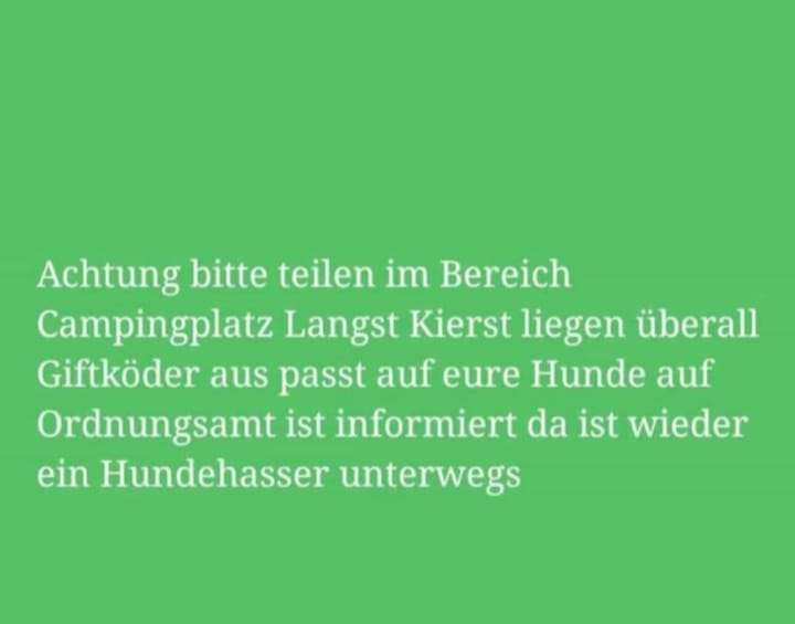 Giftköder-Giftköder-Profilbild