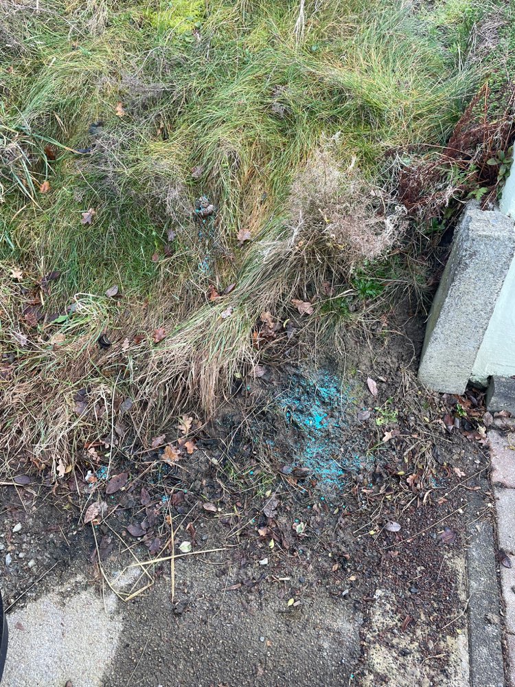 Giftköder-Gift?-Profilbild