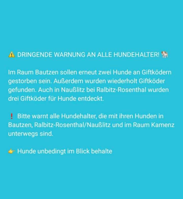 Giftköder-Giftköder-Profilbild