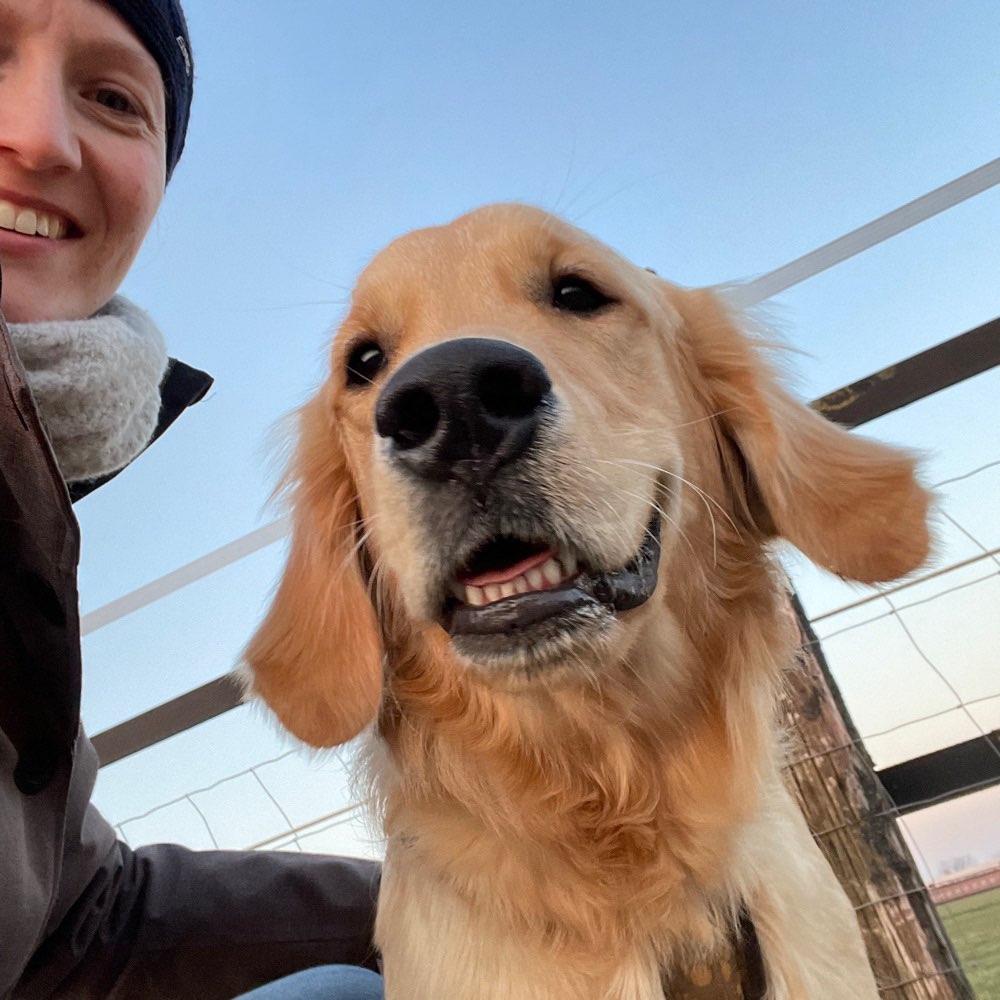 Hundetreffen-Spazierrunde in Broichweiden-Profilbild
