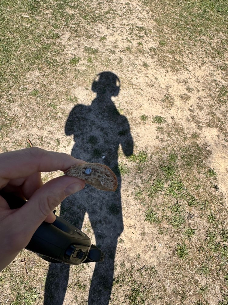 Giftköder-Köder-Profilbild