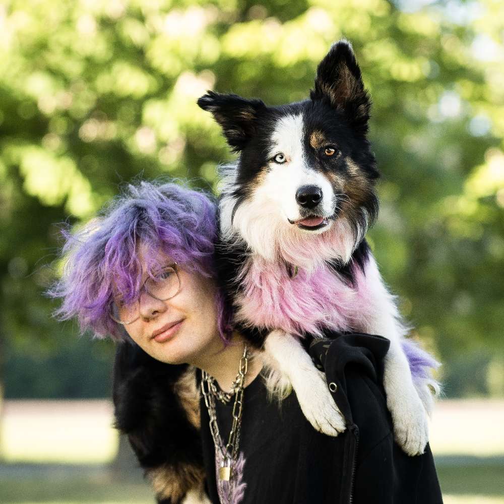 Hundetreffen-Gassiservice/Hundebeschäftigung-Profilbild