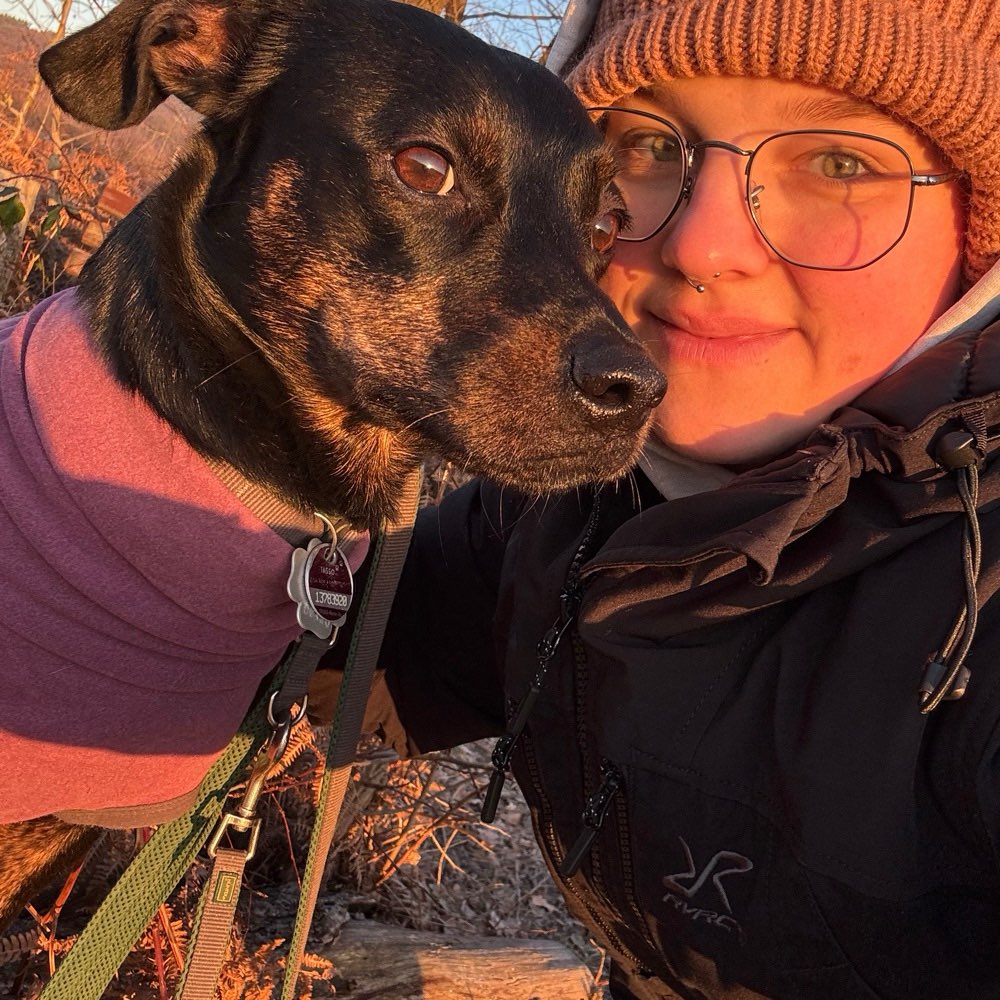 Hundetreffen-Hundebegegnungen üben :)-Profilbild