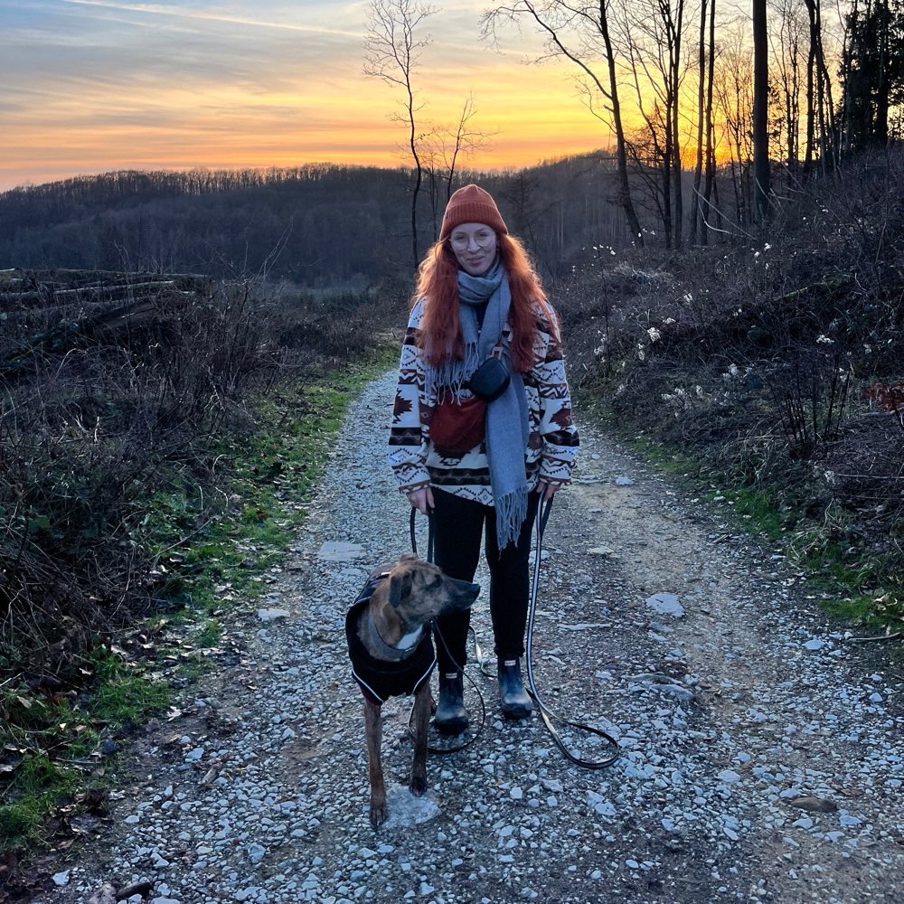 Hundetreffen-Gemeinsames Training / Social Walk-Profilbild