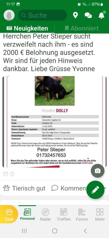 Suchmeldung-Dolly-Profilbild