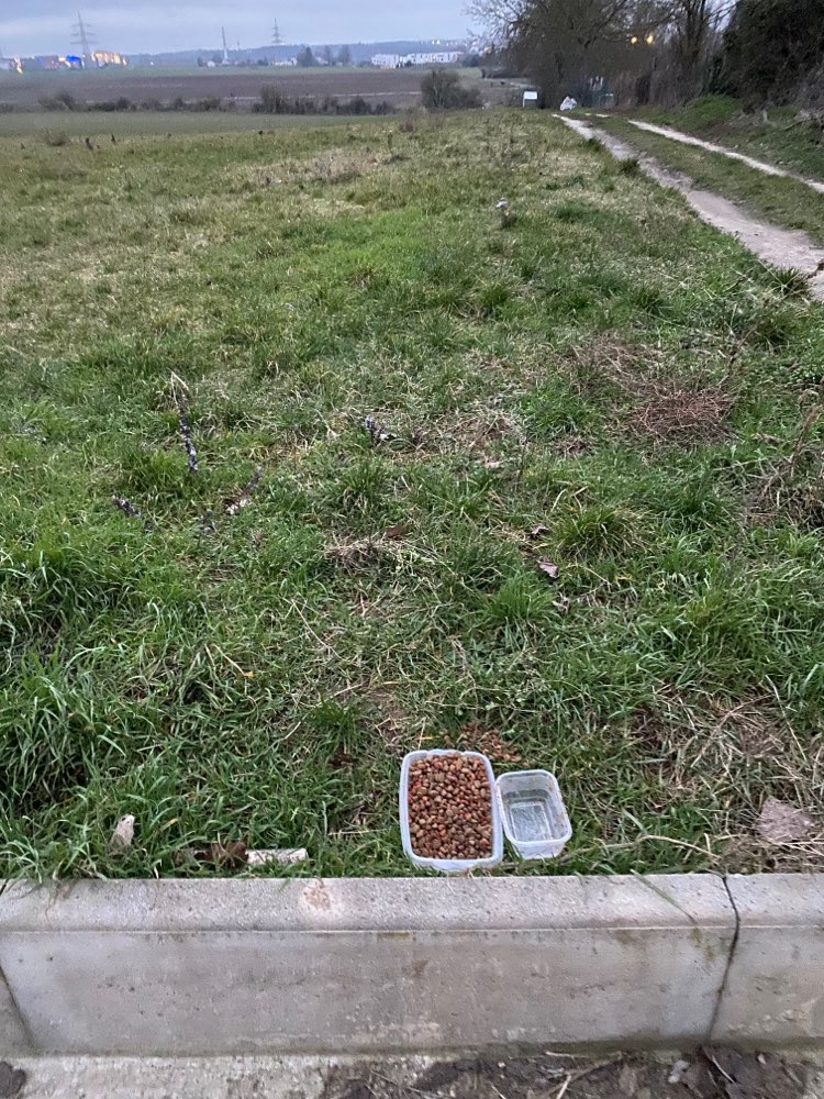 Giftköder-Offene Brotdose mit Hundefutter/ Katzenf-Profilbild