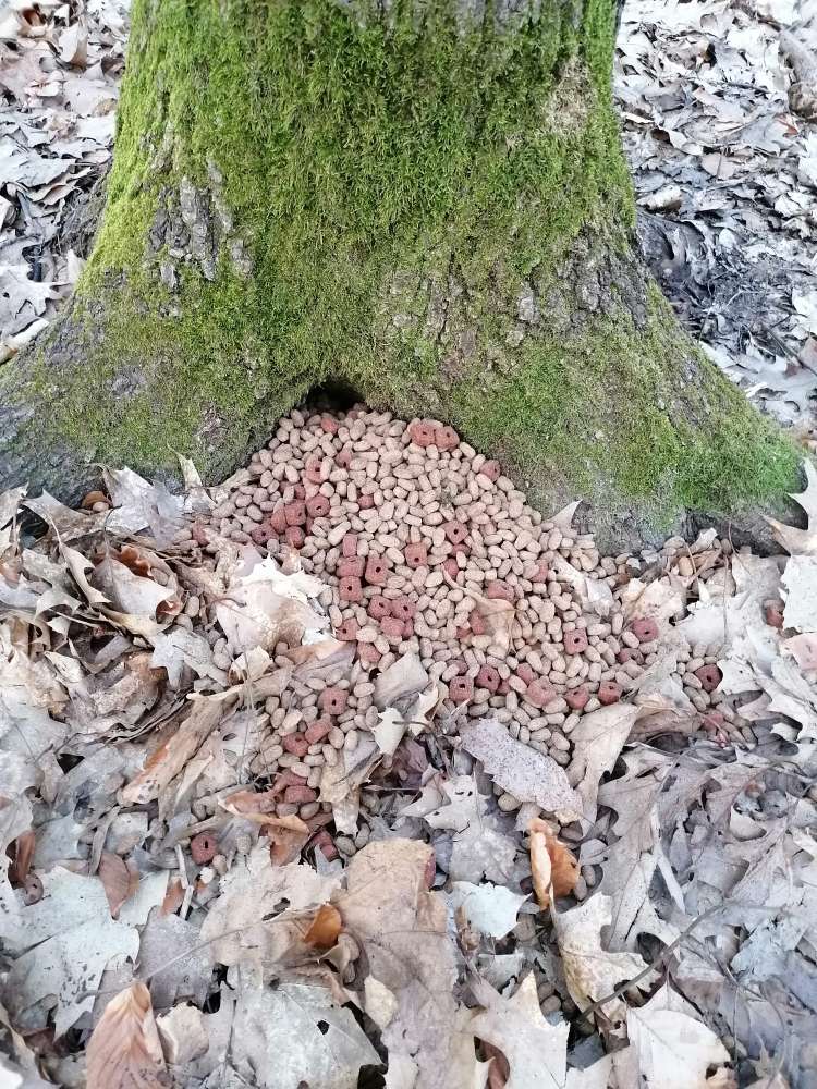 Giftköder-Trockenfutter-Profilbild