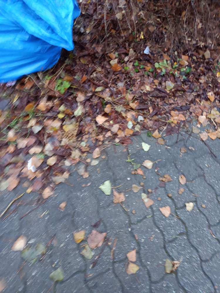 Giftköder-Ausgelegtes trockenfutter-Profilbild