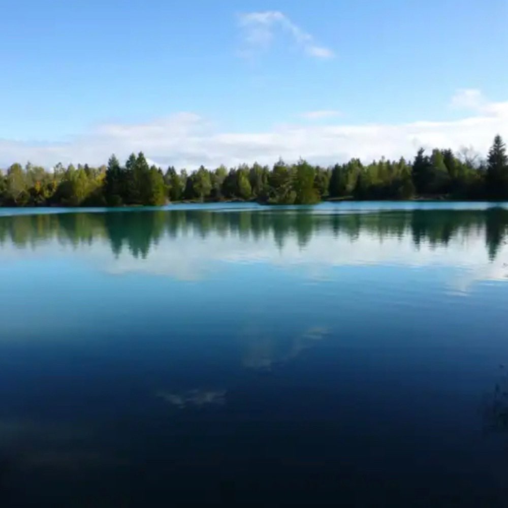 Hundetreffen-Welpentreffen am Auensee-Profilbild