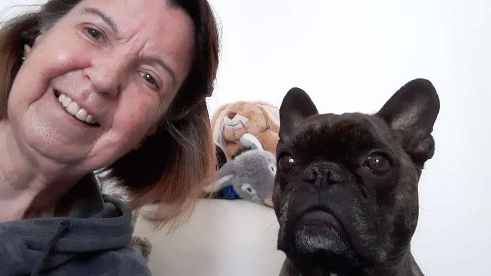 Hundetreffen-Bulli Treffen-Profilbild