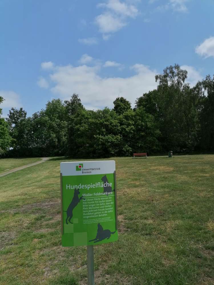 Giftköder-Riesenbärenklau Waller Feldmark See-Profilbild