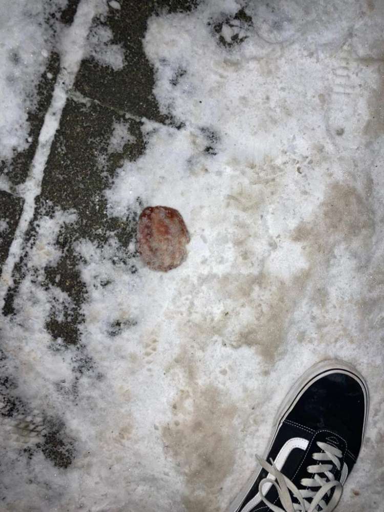 Giftköder-Giftköder-Profilbild