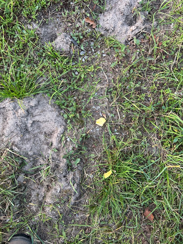 Giftköder-Glasscherben mit Käse im Spargelfeld-Profilbild