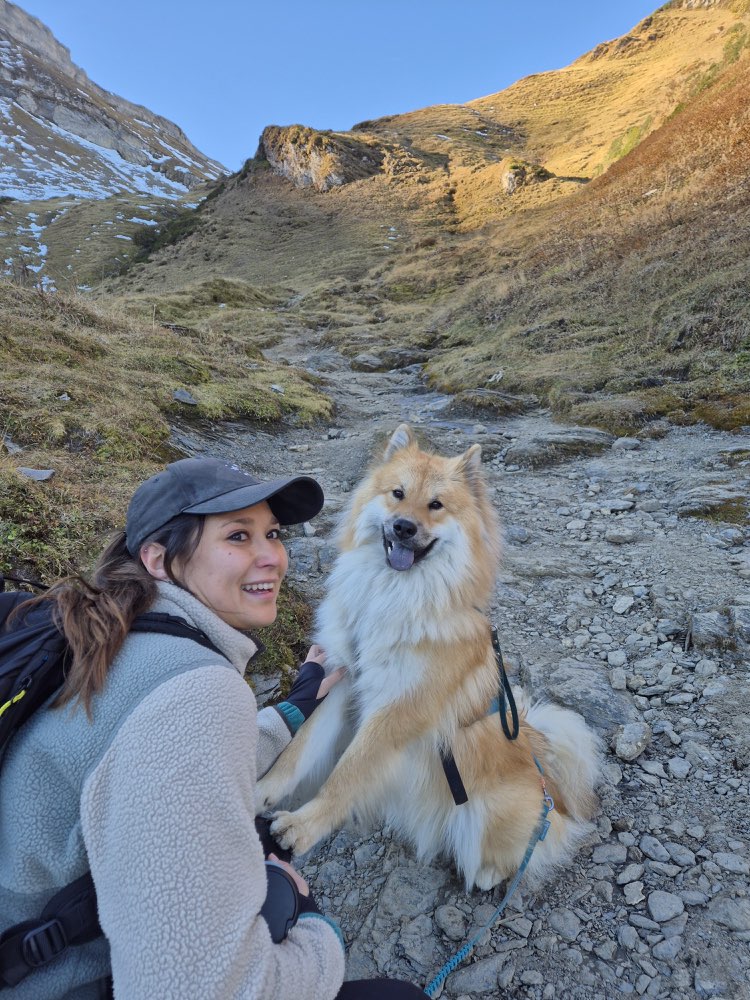 Hundetreffen-Austausch und Spaziergänge-Profilbild