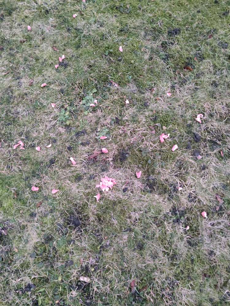 Giftköder-Mögl. Giftköder Hofer Str. Meyersche Häuser-Profilbild