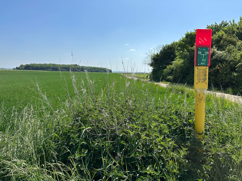 Giftköder-Vermutlich Eichenprozessionsspinner-Profilbild