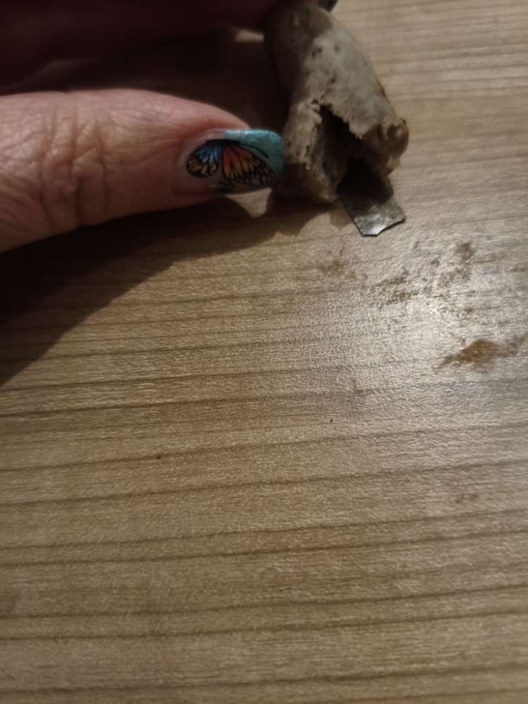 Giftköder-Giftköder gefunden-Profilbild