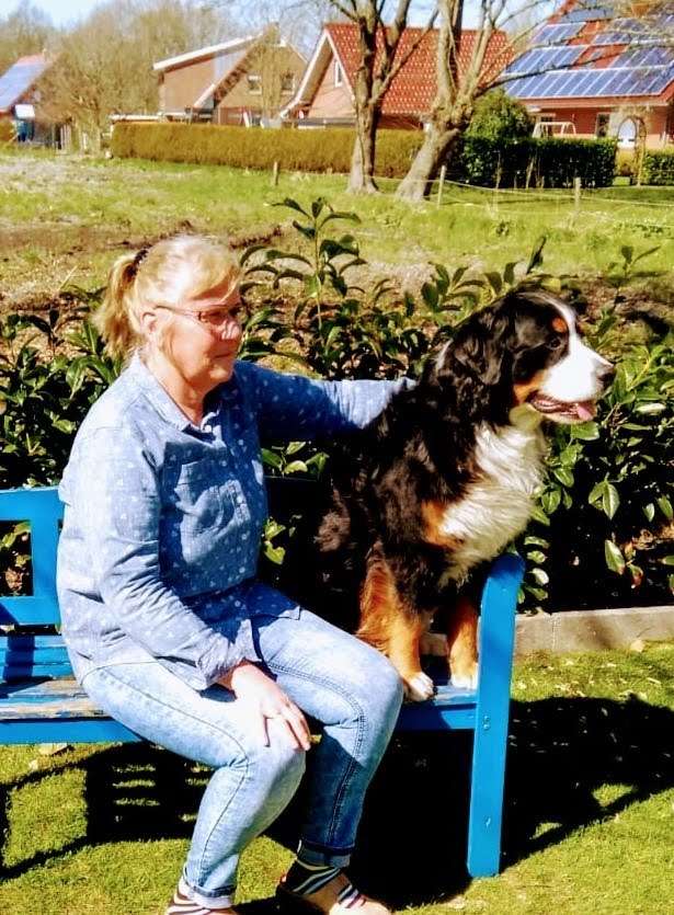 Hundetreffen-Spazieren gehen-Profilbild