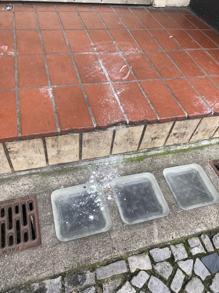 Giftköder-White Powder-Profilbild