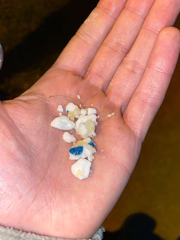 Giftköder-Toast mit weißem Feststoff-Profilbild