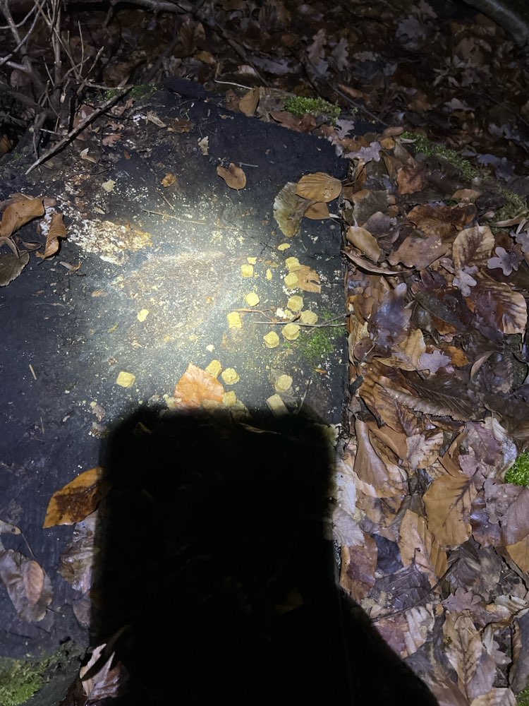 Giftköder-Köder auf Baumstumpf am Wegrand-Profilbild