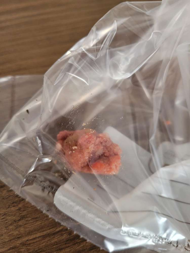 Giftköder-Achtung!-Profilbild