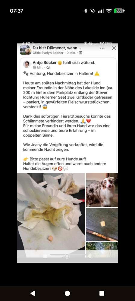 Giftköder-Giftköder !-Profilbild