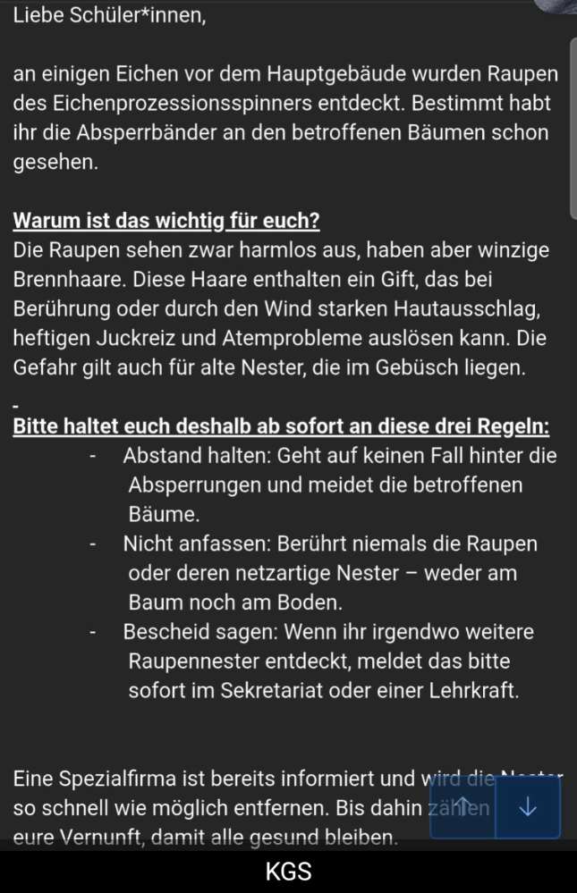 Giftköder-Eichenprozessionsspinner-Profilbild