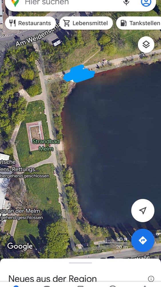 Giftköder-Blaukorn im See Melm-Profilbild