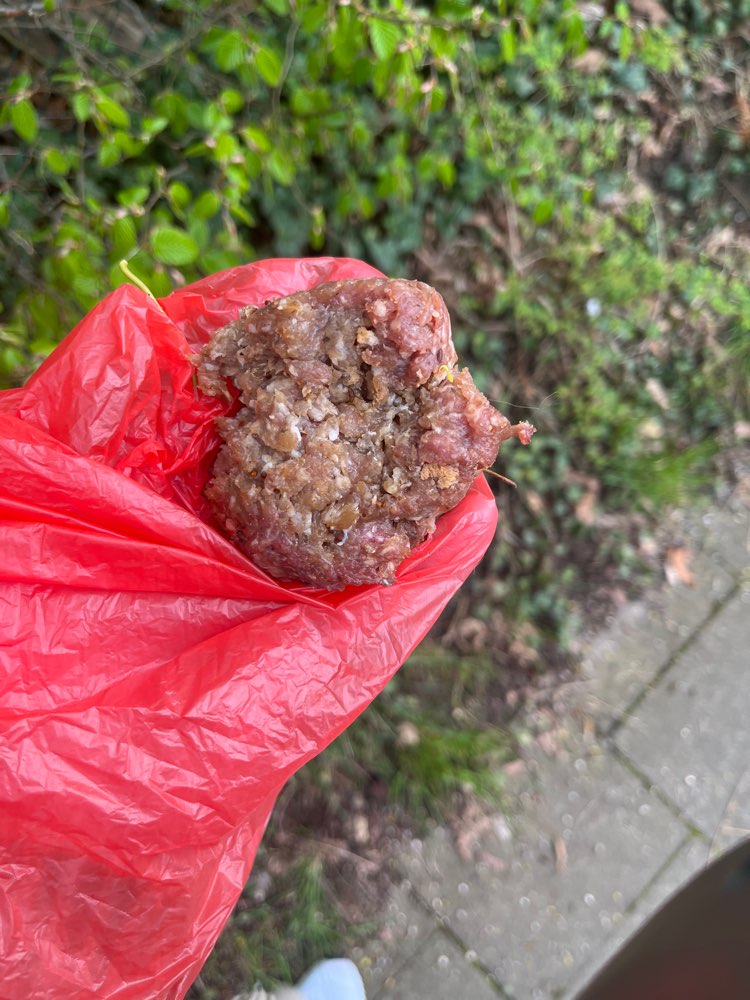 Giftköder-Hackfleischkugel am Kirchenzaun-Profilbild