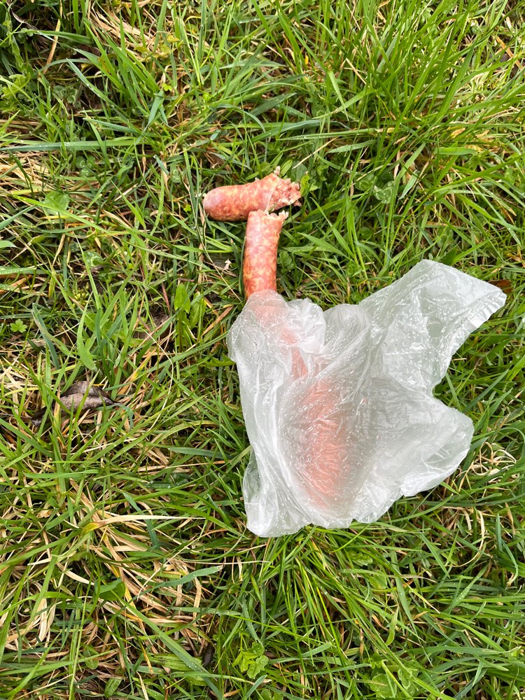 Giftköder-Möglicher Giftköder!!-Profilbild