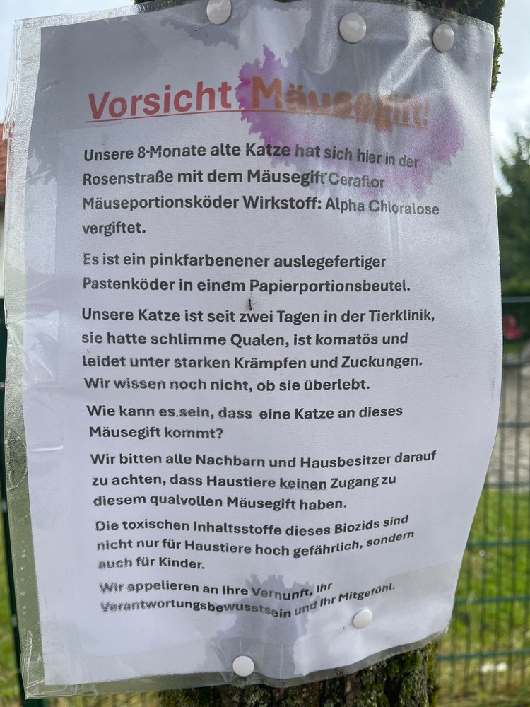 Giftköder-Vorsicht vor Mäusegift-Profilbild