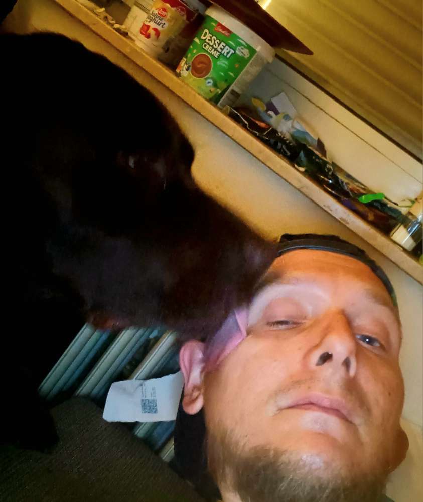 Hundetreffen-Labrador treffen,  spielen , Toben.!!-Profilbild