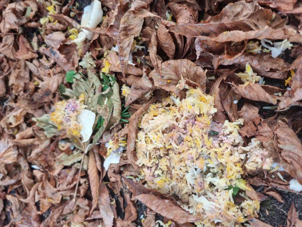 Giftköder-Verfärbtes Essen (rosa) evtl. Giftköder-Profilbild