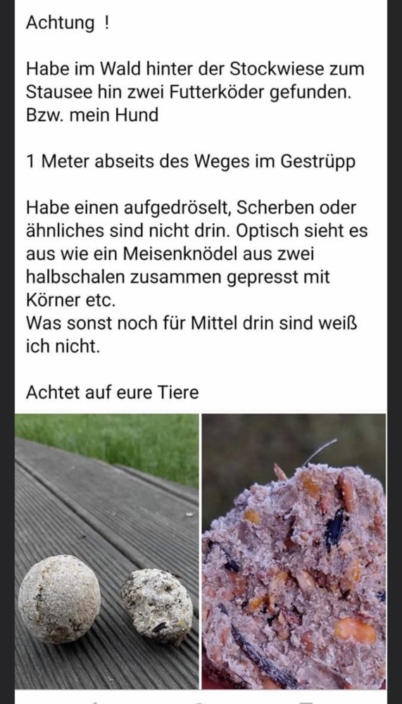 Giftköder-Giftköder-Profilbild