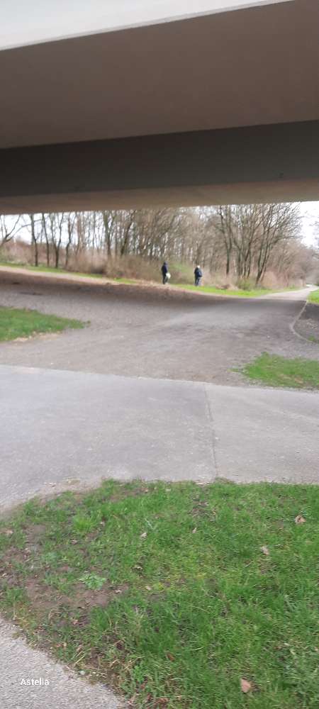 Giftköder-Mögliche Giftköder-Profilbild