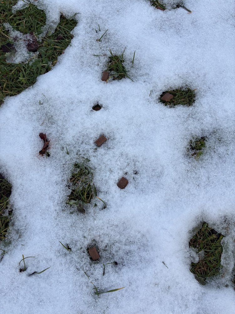 Giftköder-Mögliche Giftköder gefunden!-Profilbild