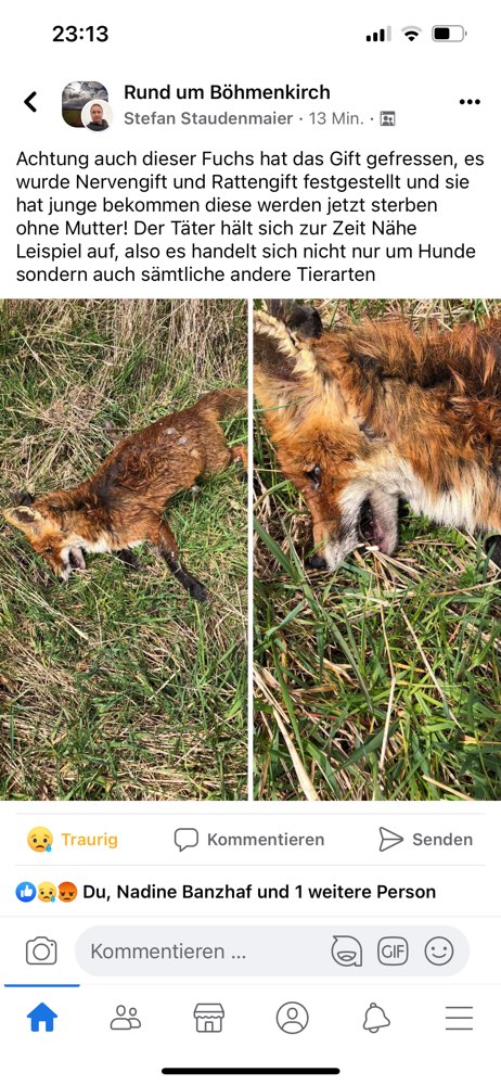 Giftköder-Nervengift und Rattengift-Profilbild