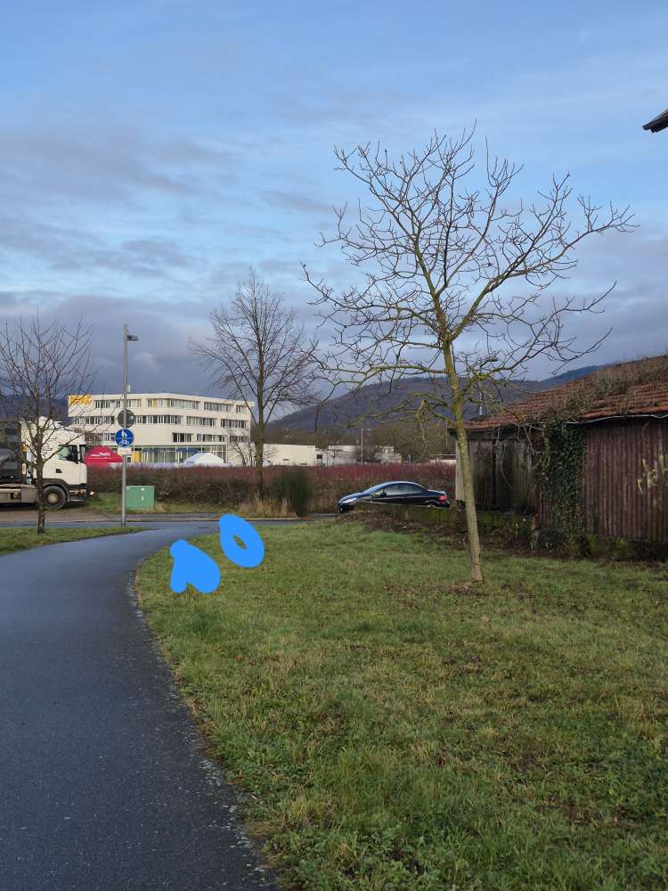 Giftköder-Girftköder /Schokolade-Profilbild