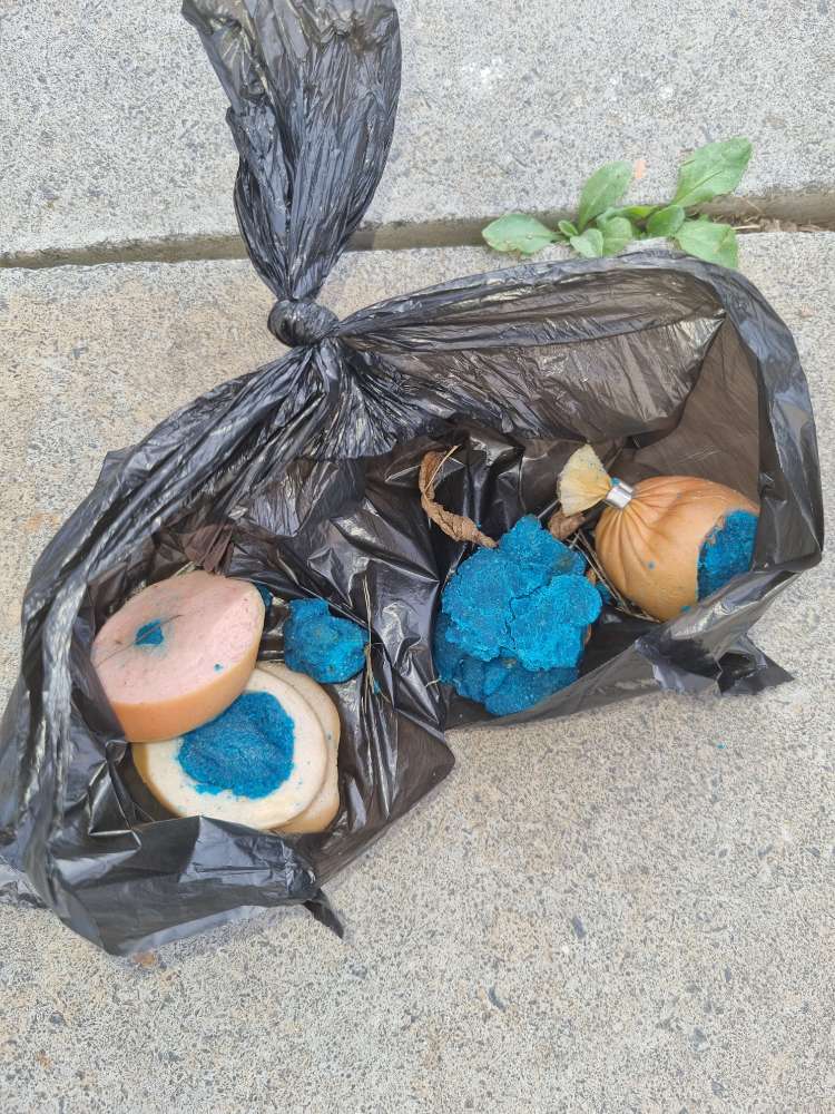 Giftköder-Giftköder-Profilbild