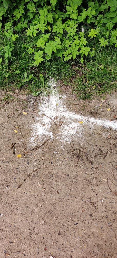 Giftköder-Weißes Pulver-Profilbild