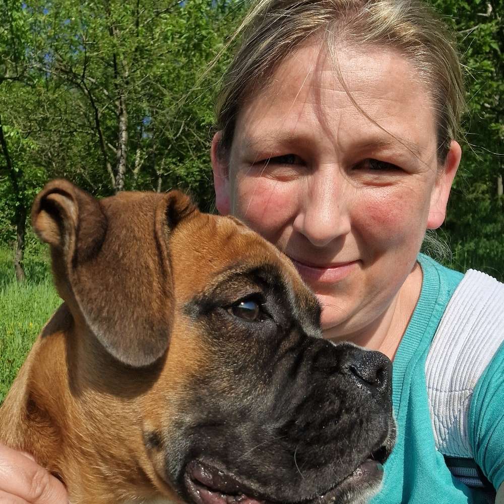 Hundetreffen-,,Junghunde " Volkach-Profilbild