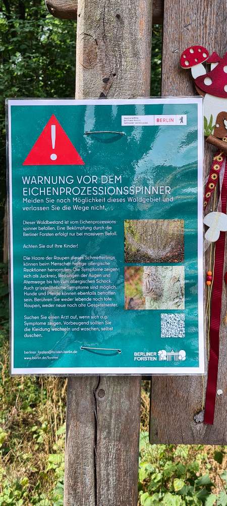 Giftköder-Offizielle Warnung Eichenprozessionsspinner-Profilbild