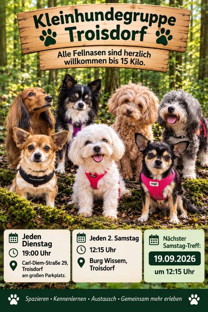 Hundetreffen-Kleinhundetreffen-Profilbild