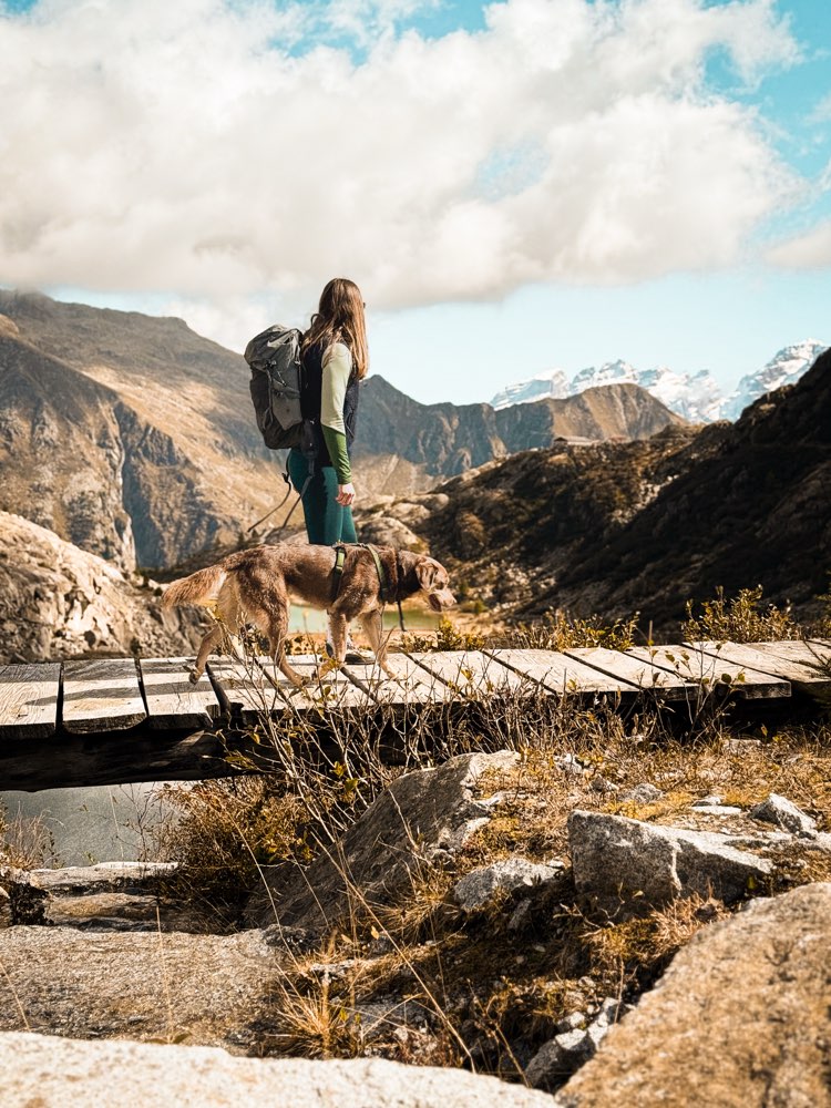 Hundetreffen-Hundewanderung-Profilbild