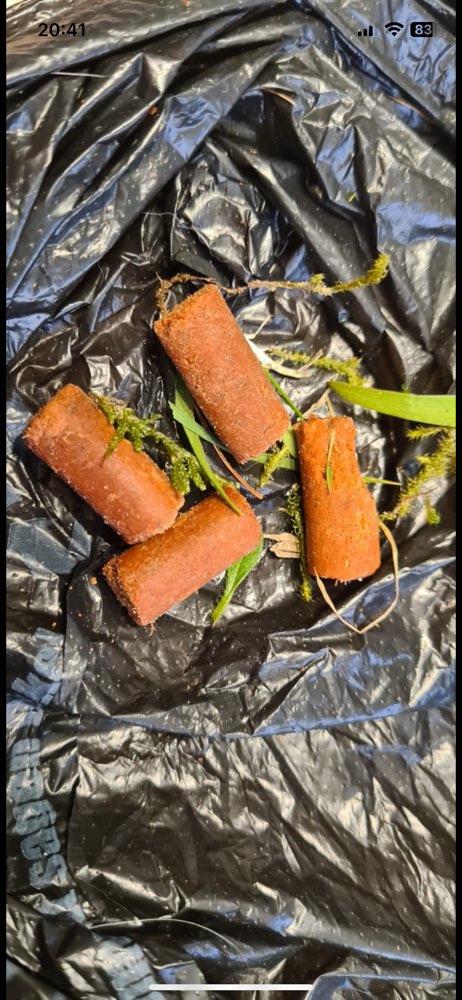 Giftköder-Giftköder-Profilbild