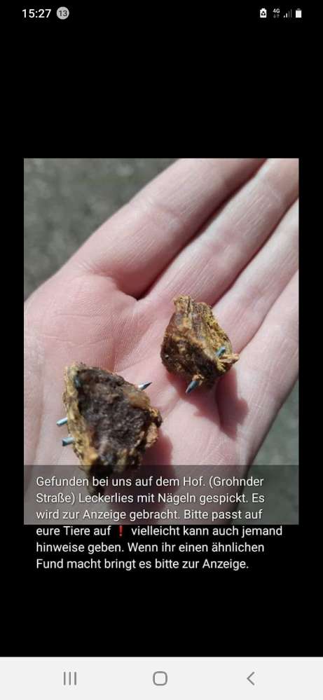 Giftköder-Leckerlies mit Nägeln gespickt.-Profilbild