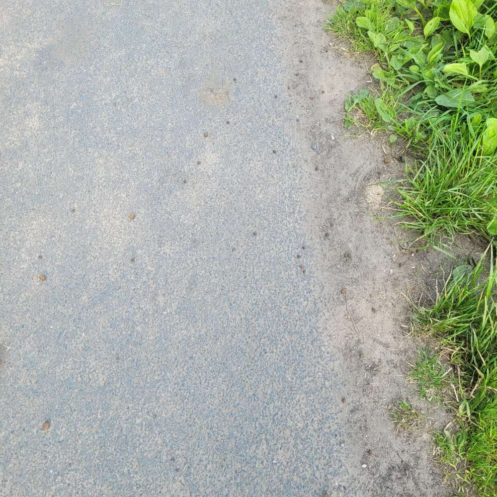 Giftköder-Evtl.Giftköder Trockenfutter-Profilbild