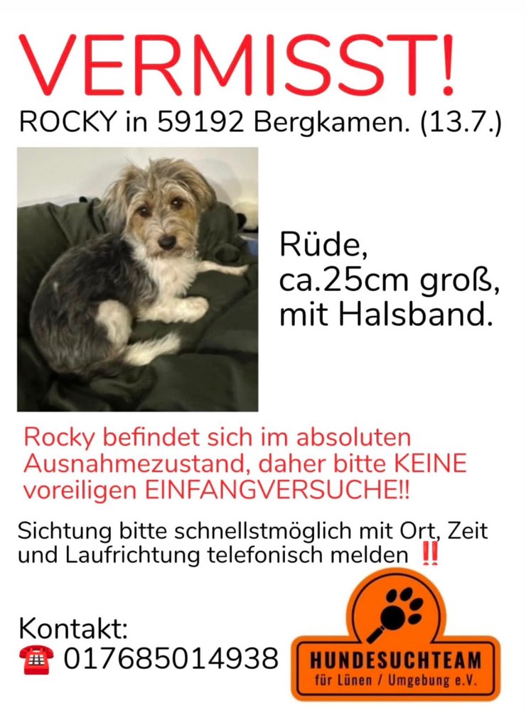 Suchmeldung-Rocky-Profilbild