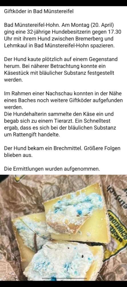 Giftköder-Giftköder Käse mit "bläulicher Substanz"-Profilbild